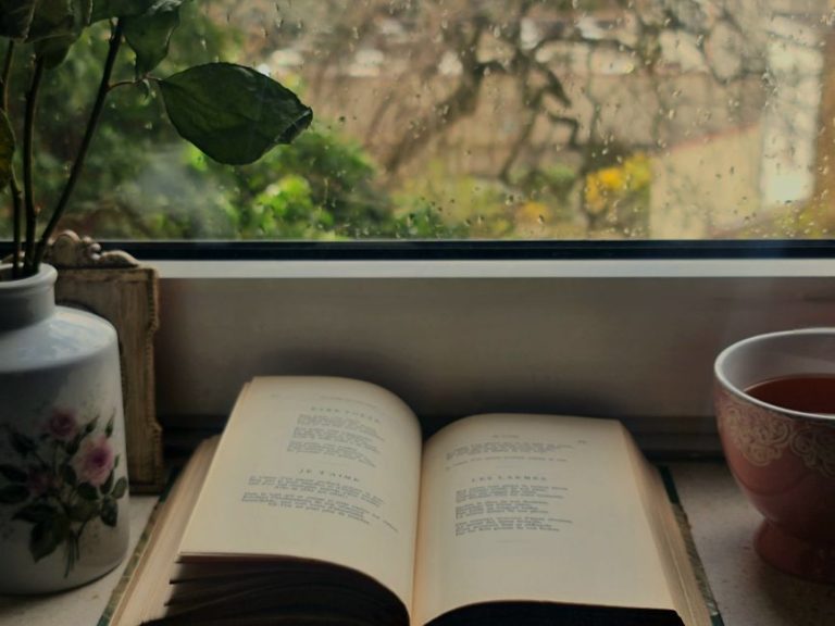 Suspense Novels for a Rainy Day: Must-Read Picks